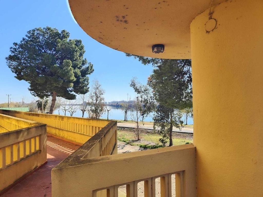 Superbe Appartement Terrasse Entierement Renove Au Bord De L'Ebre Deltebre Exteriér fotografie