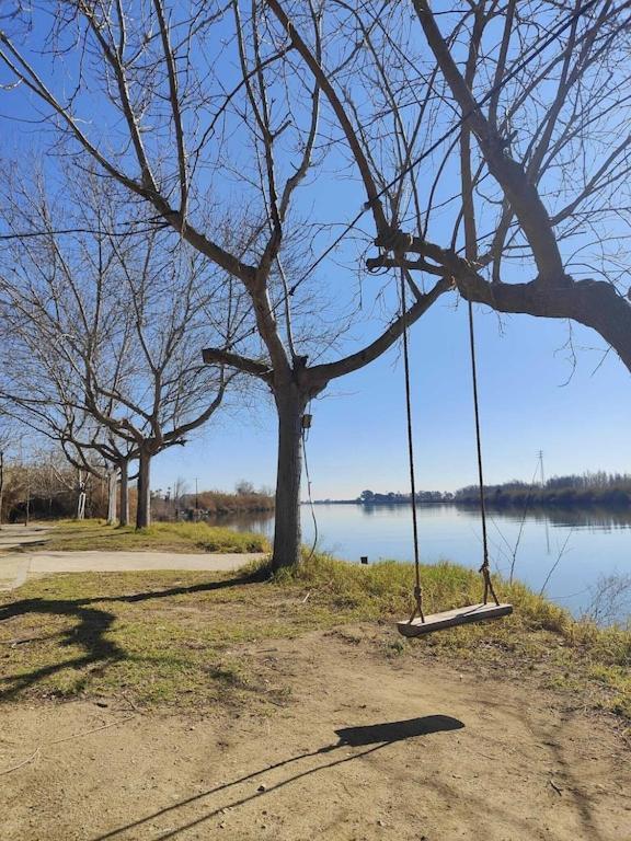Superbe Appartement Terrasse Entierement Renove Au Bord De L'Ebre Deltebre Exteriér fotografie