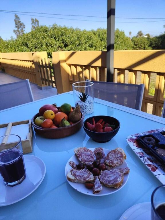 Superbe Appartement Terrasse Entierement Renove Au Bord De L'Ebre Deltebre Exteriér fotografie